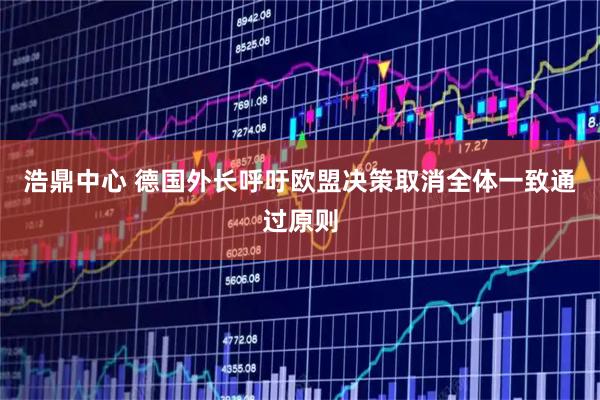浩鼎中心 德国外长呼吁欧盟决策取消全体一致通过原则