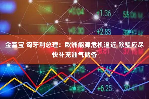 金富宝 匈牙利总理：欧洲能源危机逼近 欧盟应尽快补充油气储备