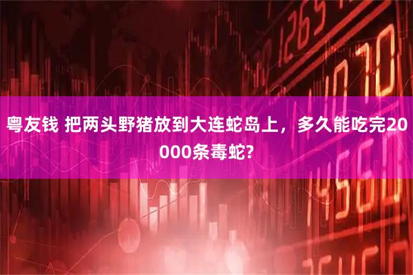 粤友钱 把两头野猪放到大连蛇岛上，多久能吃完20000条毒蛇?