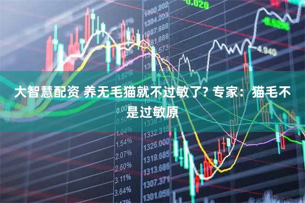 大智慧配资 养无毛猫就不过敏了? 专家：猫毛不是过敏原